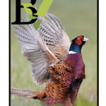 BV Magazine Issue 16 – Dec 21 BV Magazine December 2021