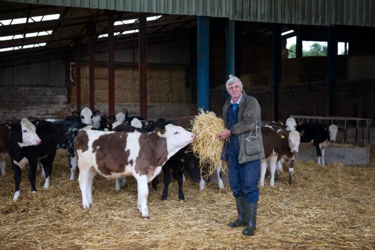Four legs bad, spring crops good | Voice of a Farmer