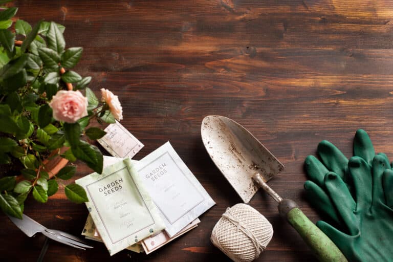 The joy of growing from seed