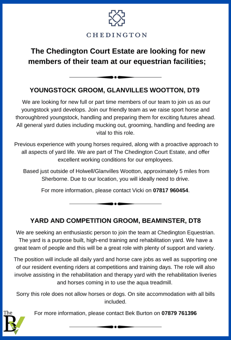 Various Equestrian Vacancies | The Chedington Court Estate