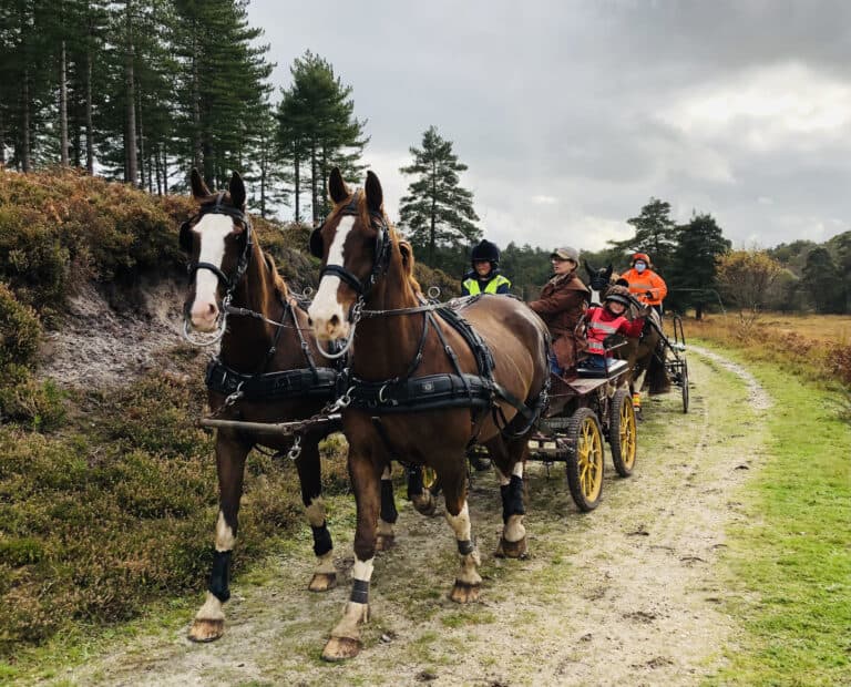 The beautiful social aspects of driving (no cars required!)