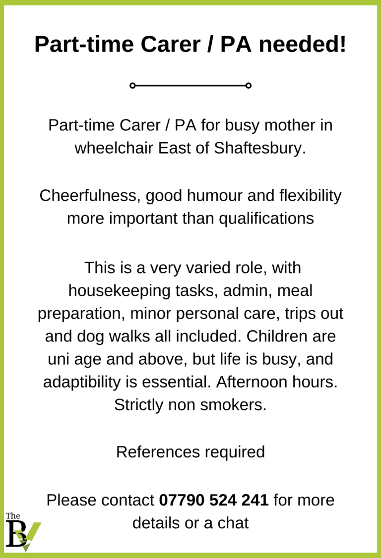 Part-time Carer / PA required