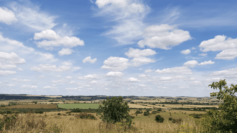 Have you ever explored from Martin Down? 9.5 Miles | Dorset Walks