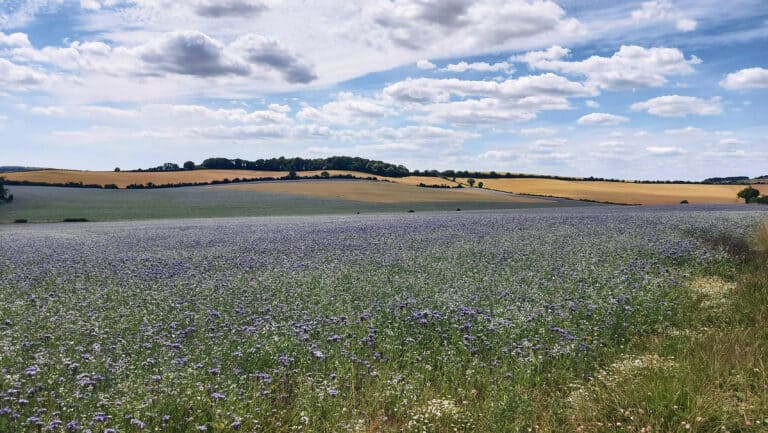 The names we farmers get called… | Farm Tales