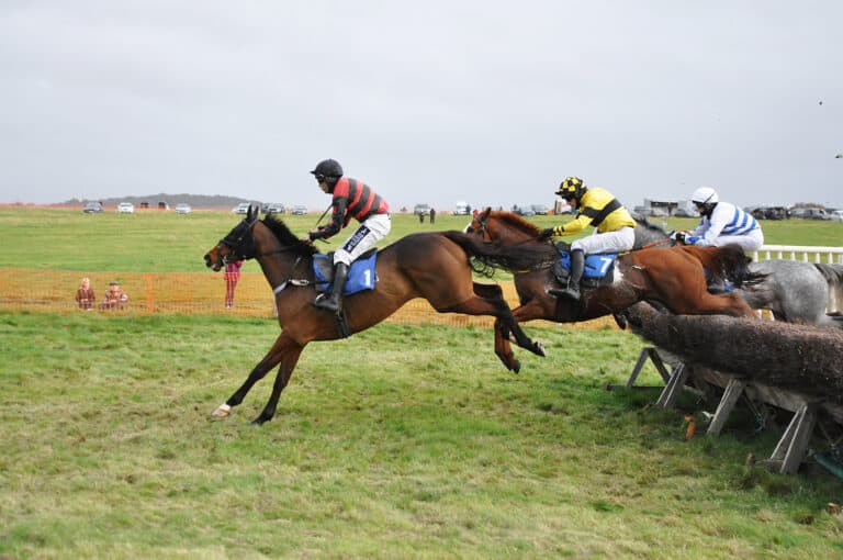 Young horses are giving point-to- pointing a new edge