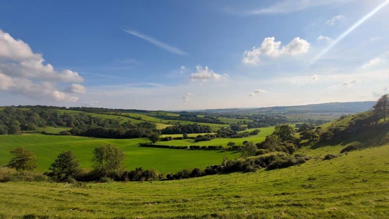 Where would you build a new Dorset town?