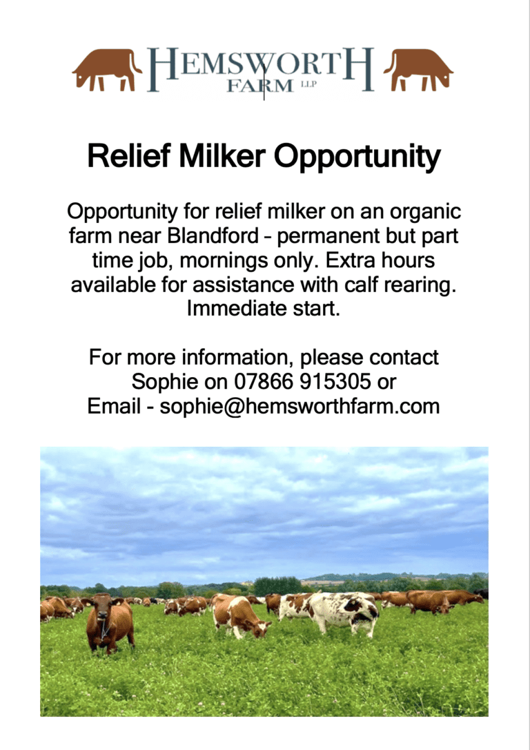 Relief Milker Opportunity | Hemsworth Farm nr Blandford