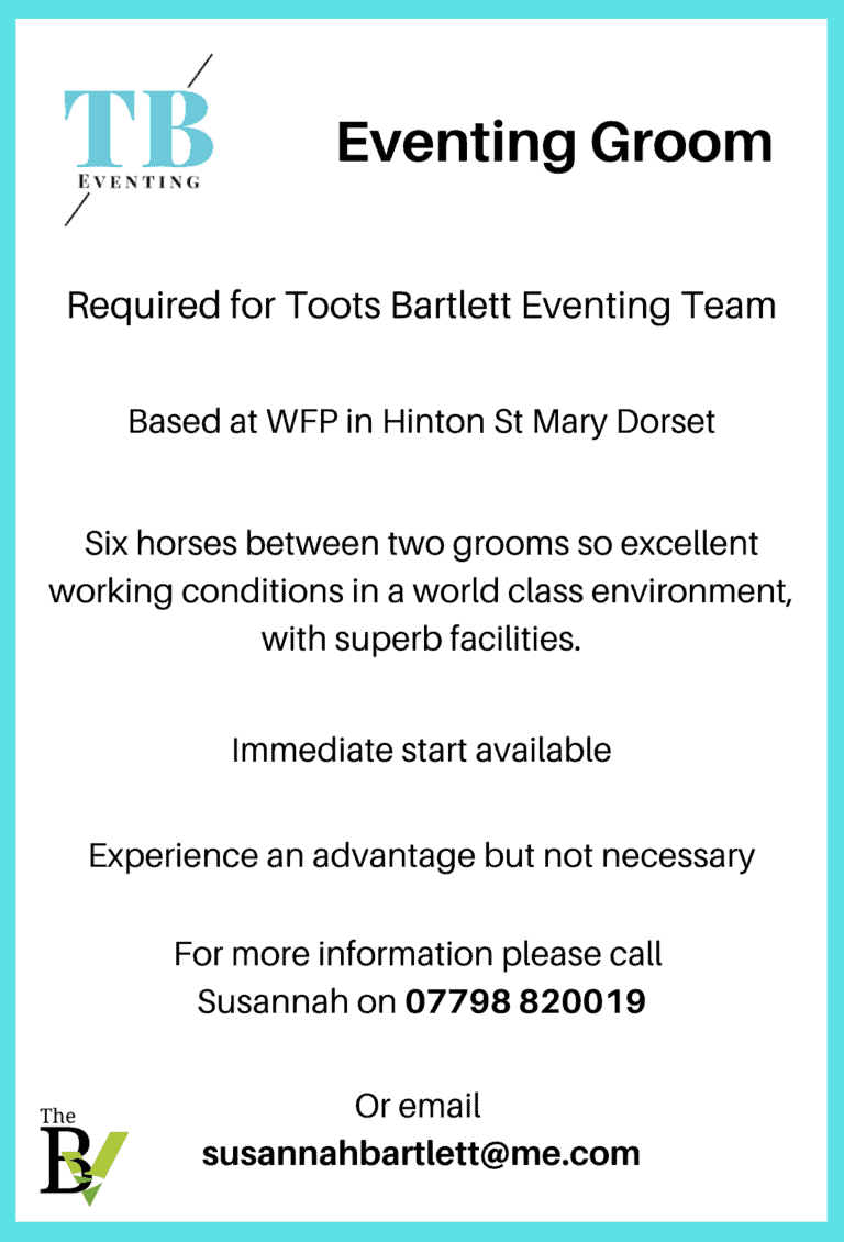 Eventing Groom | Toots Bartlett Eventing