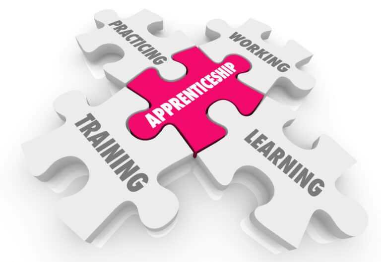 The real beauty of apprenticeships