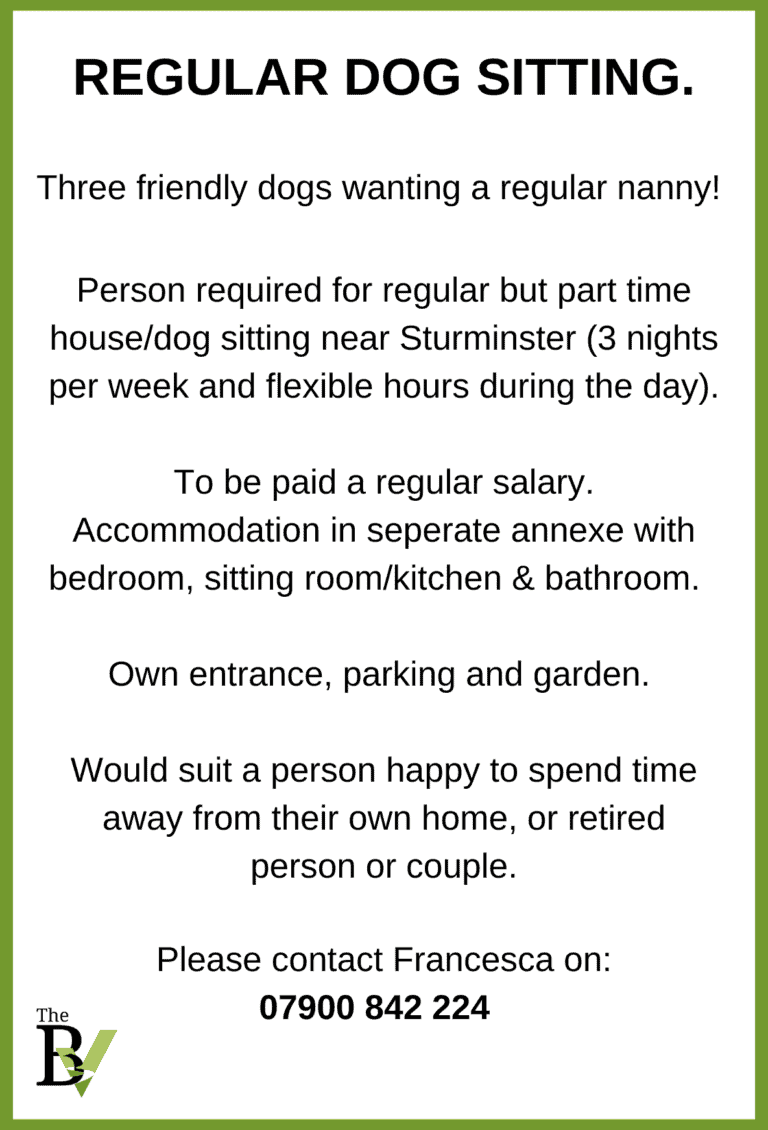 REGULAR DOG SITTING. Near Sturminster Newton