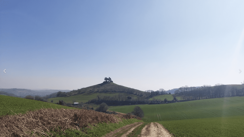 colmers Hill walk through dorset holloways