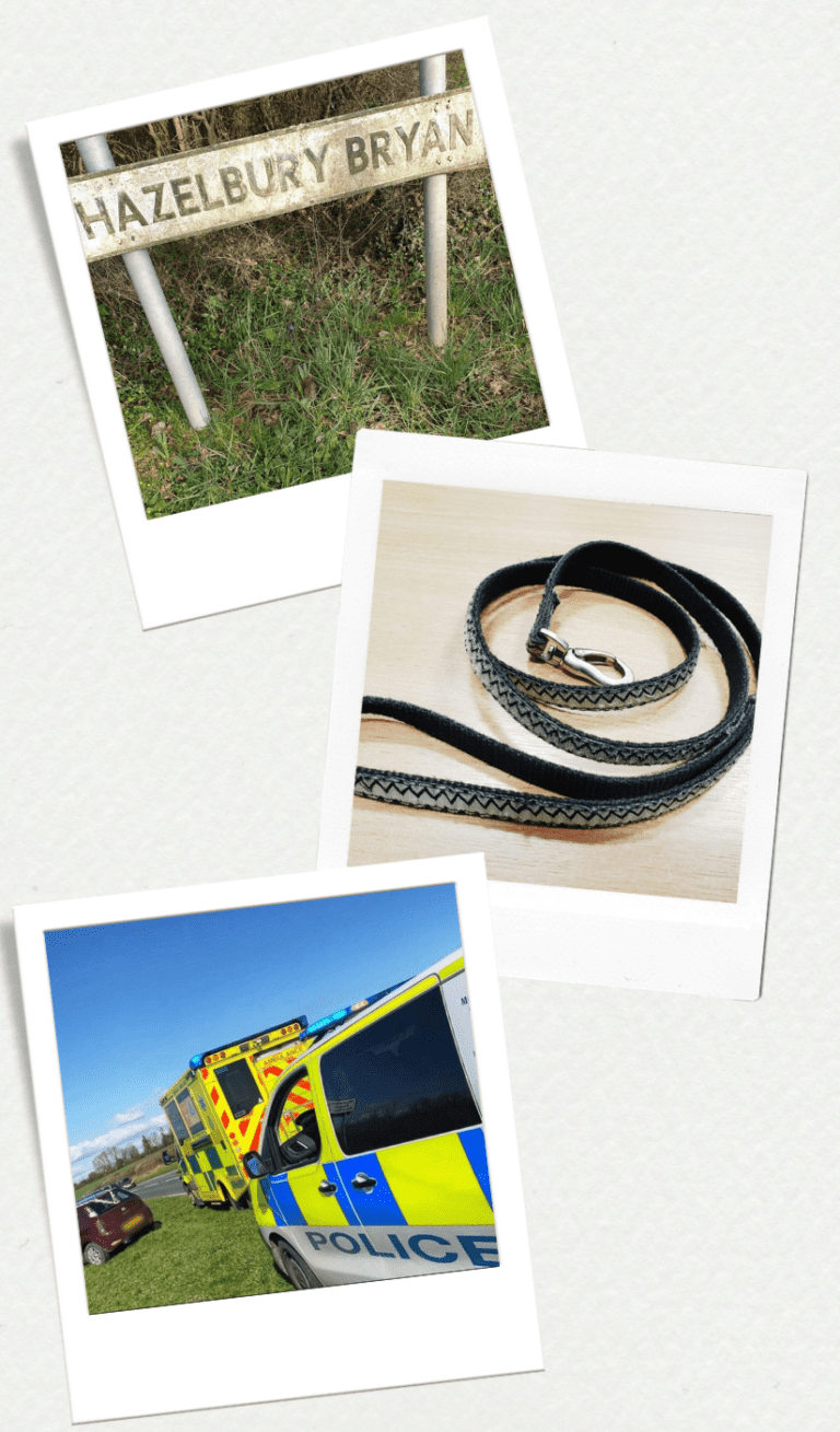 Sheds, garages, heating oil … all in a night’s work for local thieves