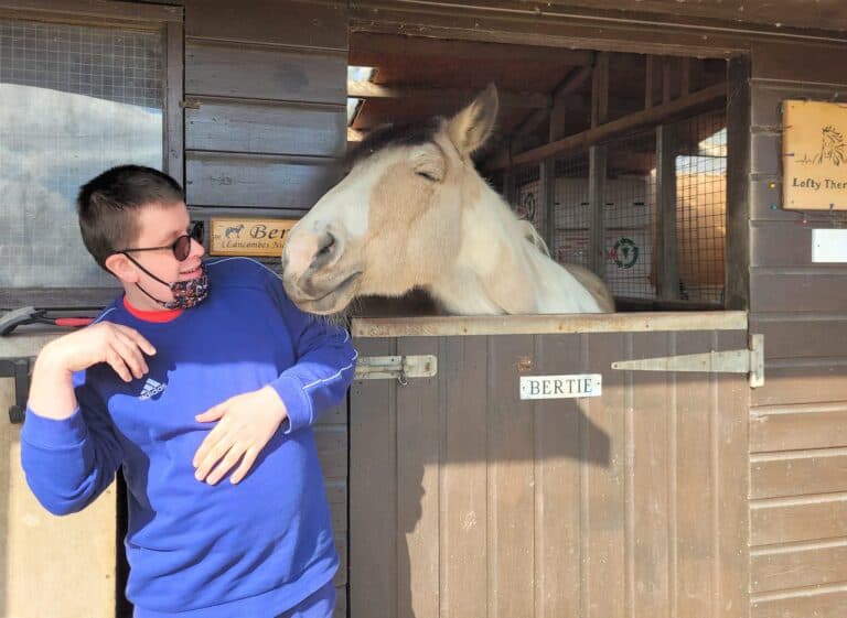 Horses – the ‘mood altering drugs’used by many schools