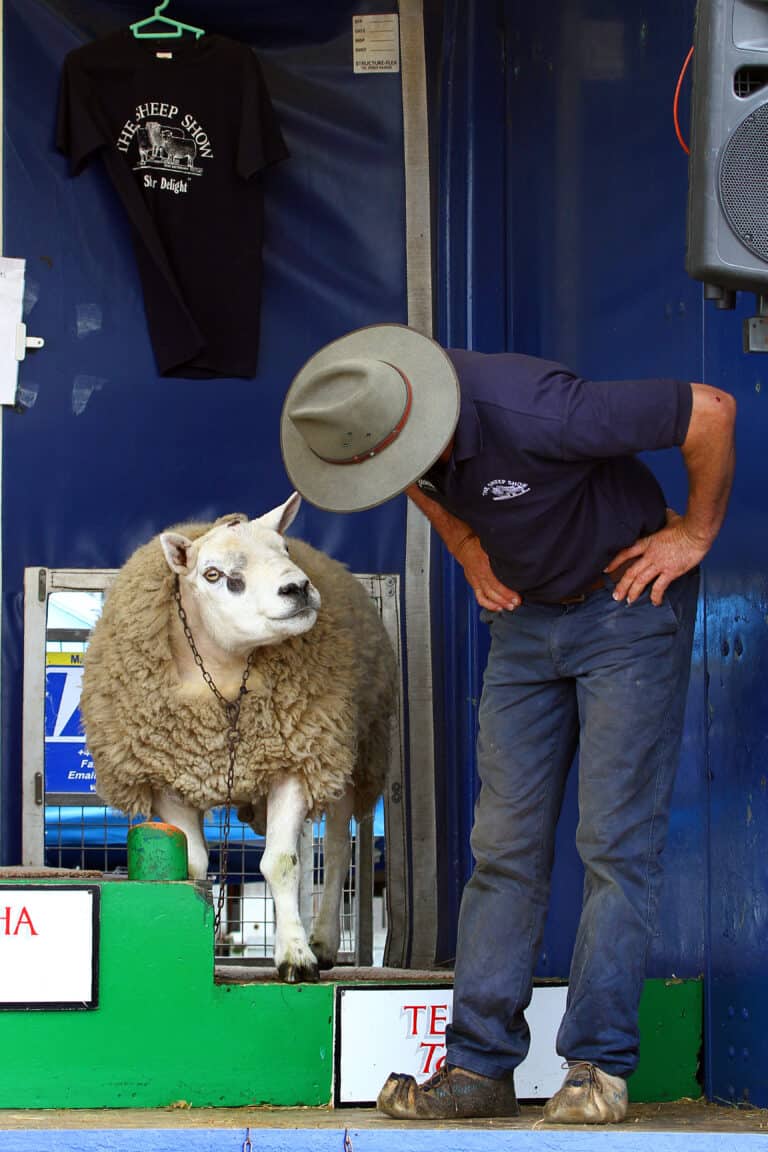 Dorset’s newest Countryside Show ‘springs to life’ this month