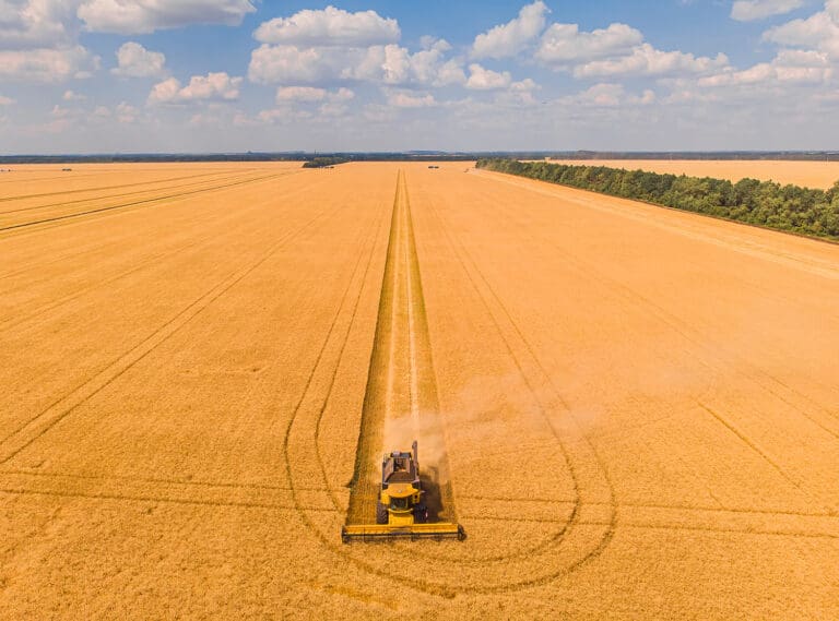 UK agriculture feels the squeeze as the war in Ukraine hits home