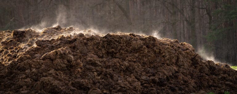 It’s a steaming pile …