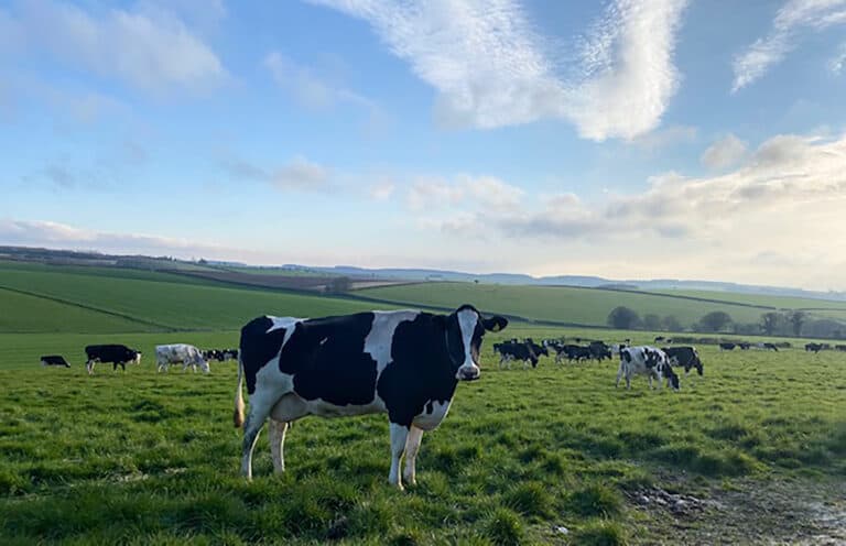 Tricky times on the farm | Voice of a Farmer