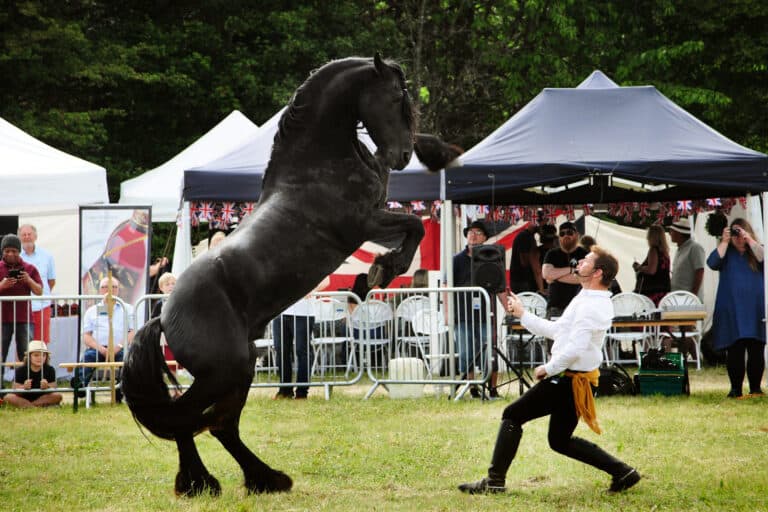 One man, his horse, his birds -and the spirit of freedom
