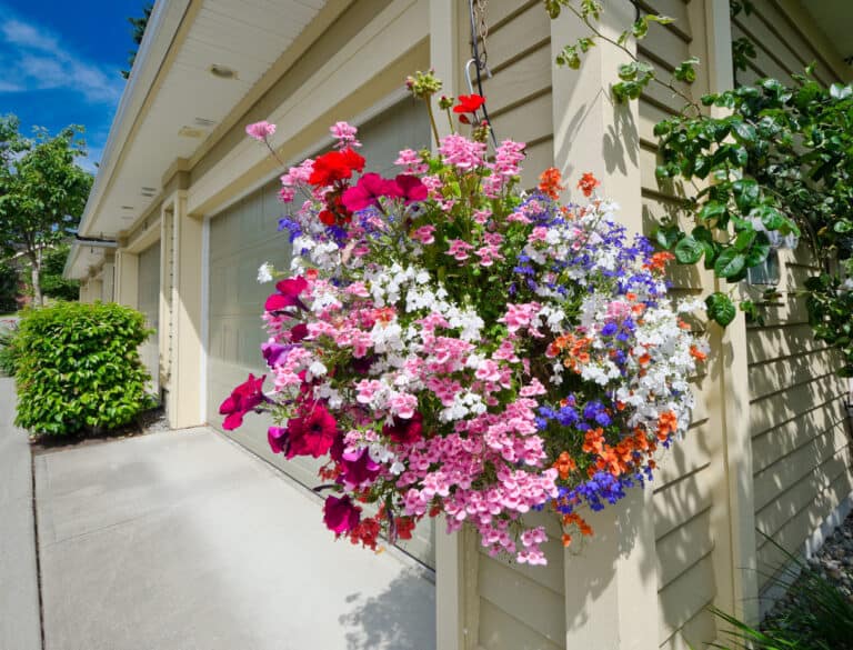 Garden jobs for April