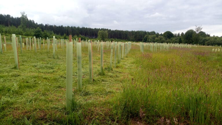 The truth behind ‘green credibility’ | Farm Tales