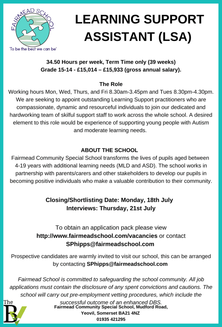 LEARNING SUPPORT ASSISTANT (LSA) | Fairmead School