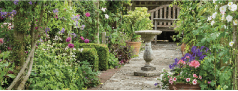 The 46th Cerne Abbas Open Gardens