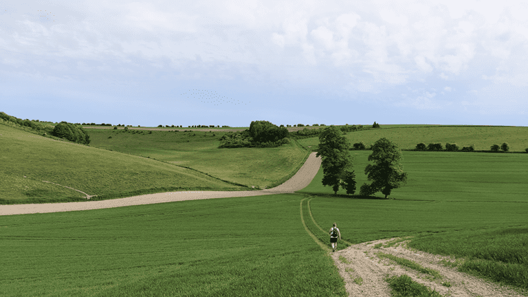 Gorgeous 5* rated walk to the Chalke Valley (the views!) | 11 miles