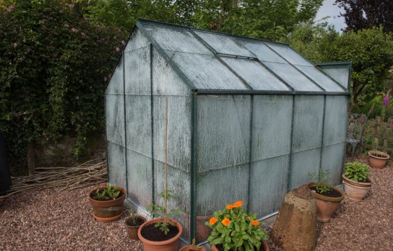 Pete’s garden jobs for the month