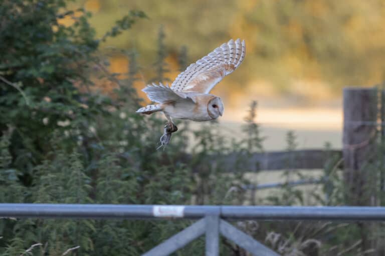 New reserve is a tribute to Angela Hughes