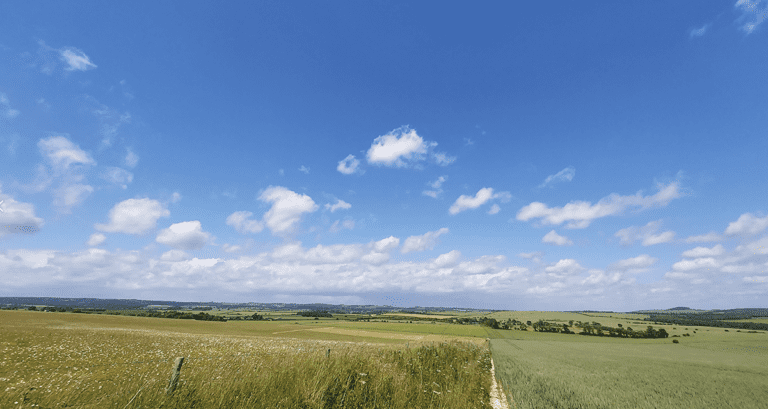 Round the Gussages & through the tumuli | 9.5miles
