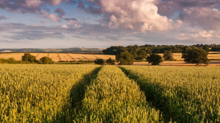 The agricultural transition and the National Food Strategy
