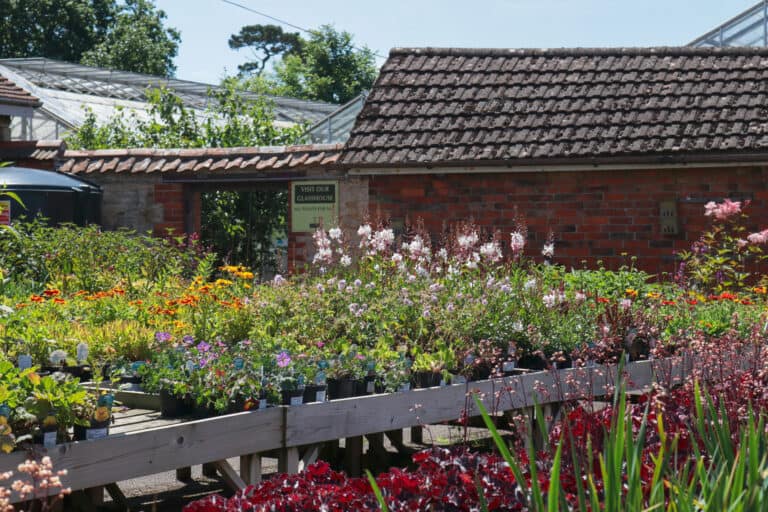 Summer’s shouting in the greenhouses