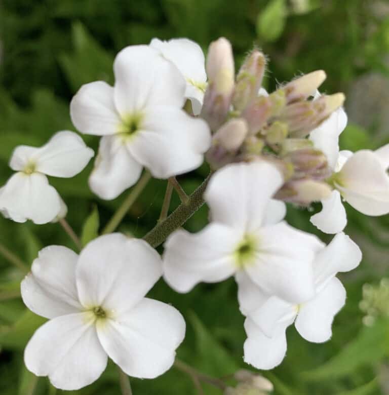 Sowing the seed of next summer