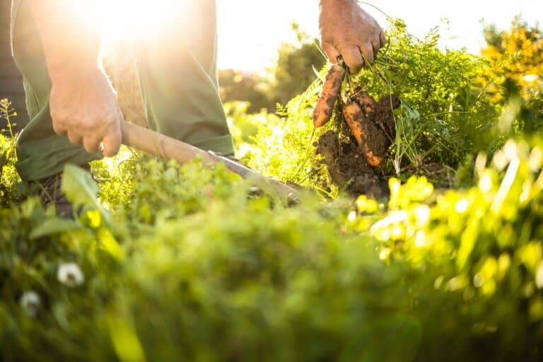 Getting outside is officially ecotherapy