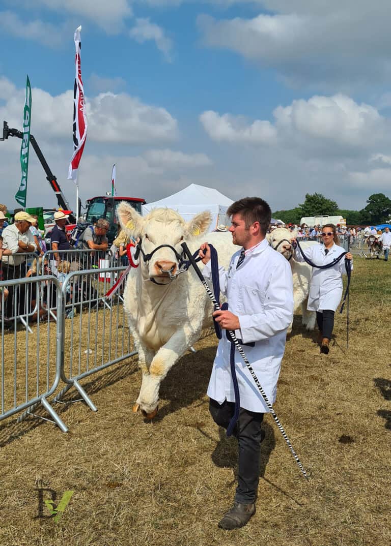 WHAT a day for the Gillingham & Shaftesbury Show!