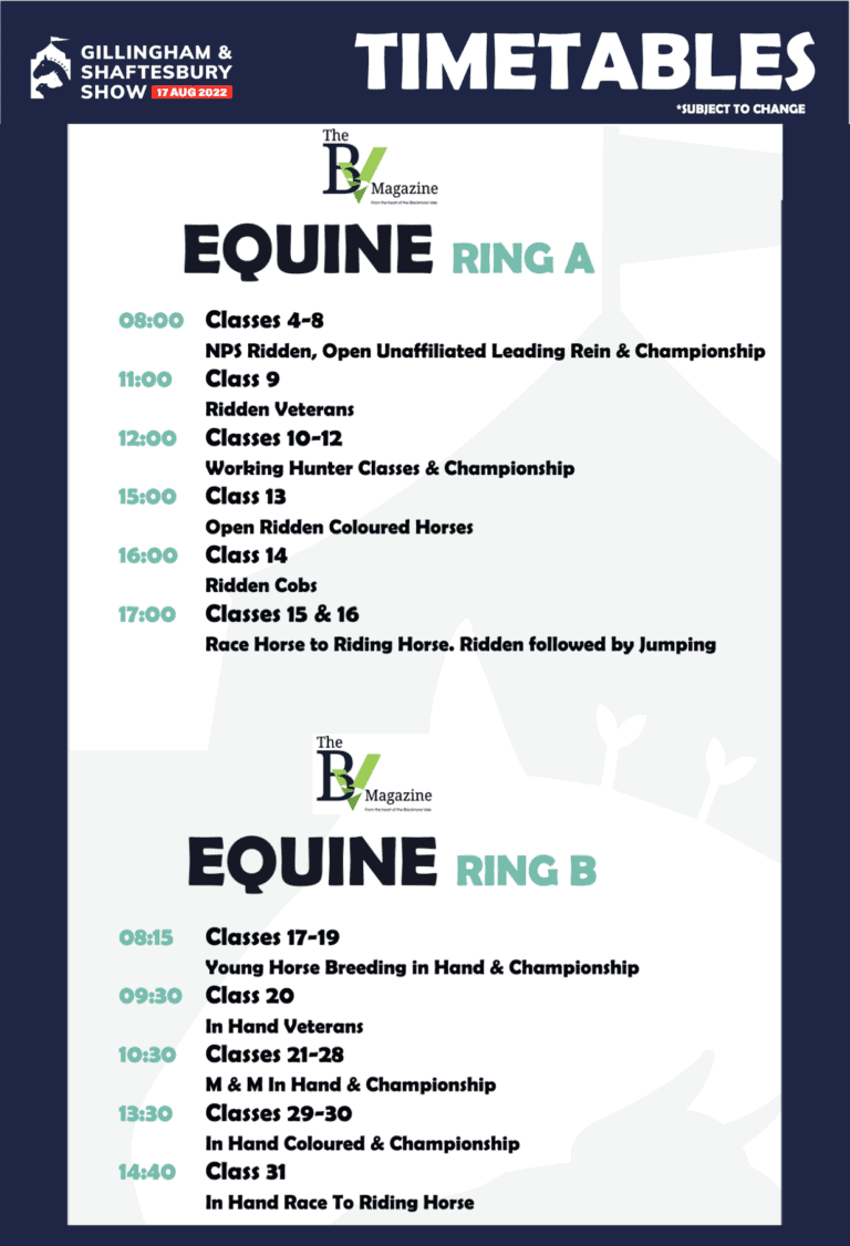 BV Magazine Proud Sponsors of the Equine Rings