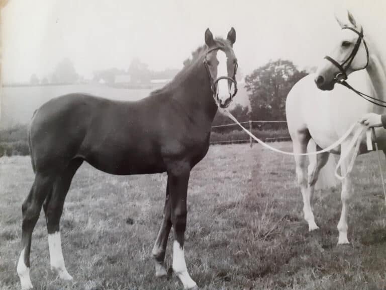 Mama mare, here you go again