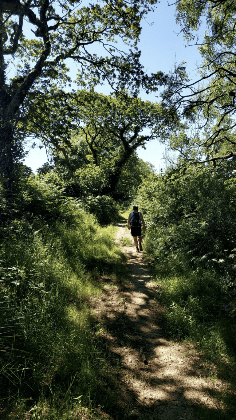 Stunning Halstock to Corscombe circular | 7.5 miles