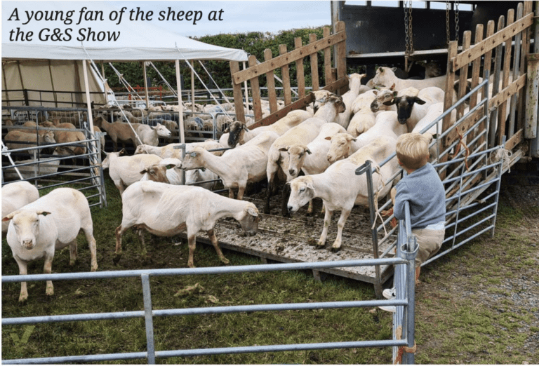 Farming old to new at the heart of the G&S show