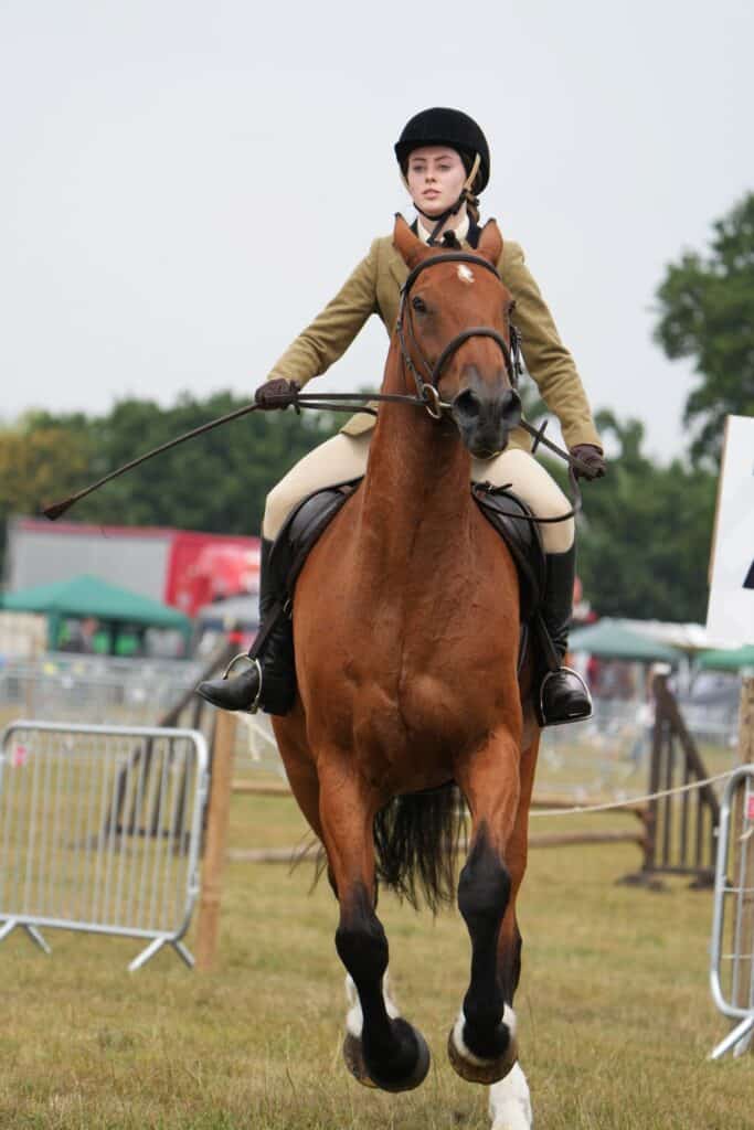 Gillingham & Shaftesbury Show equestrian class