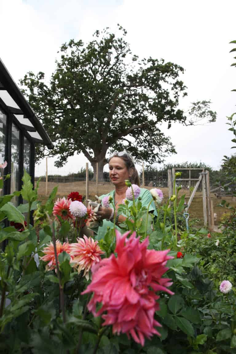 Full bloom in the flower business