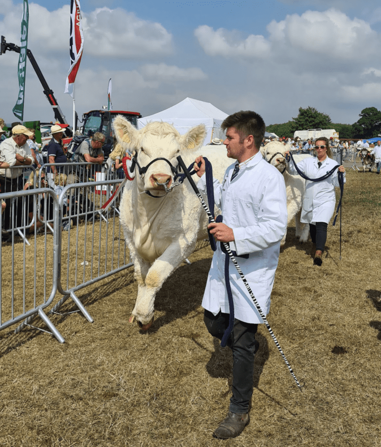Gillingham & Shaftesbury Show Grand Parade