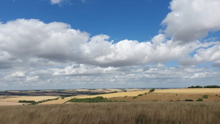 The heat is on, on the … fields?