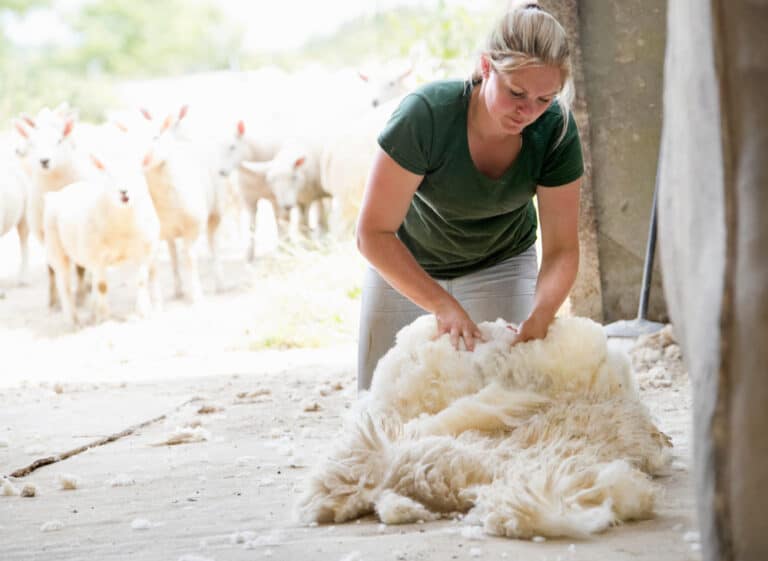 We need more woolly thinking
