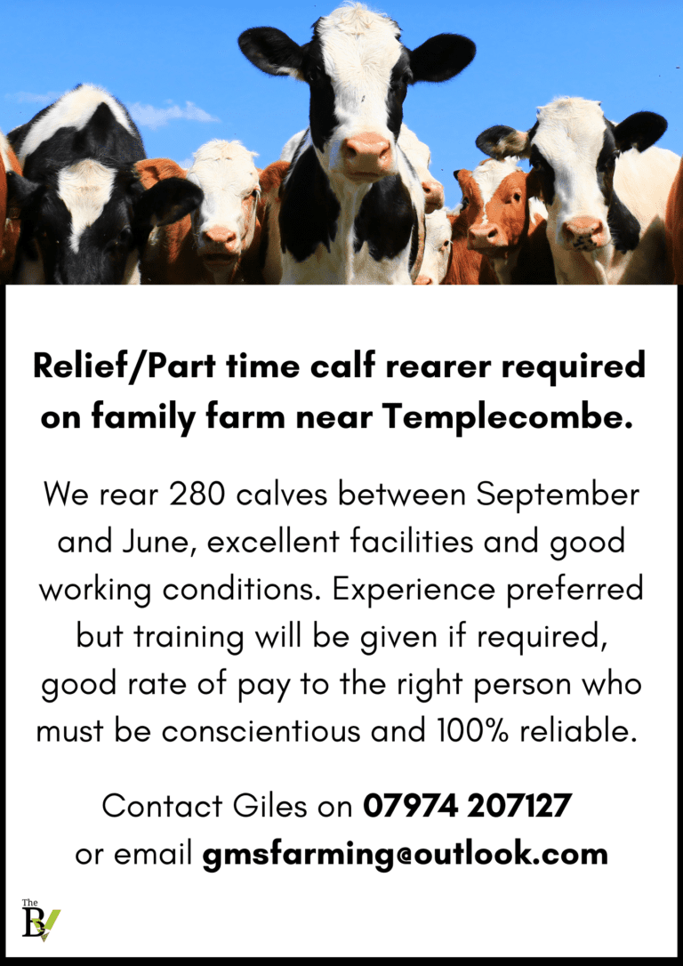 Relief/Part time calf rearer required | Nr Templecombe