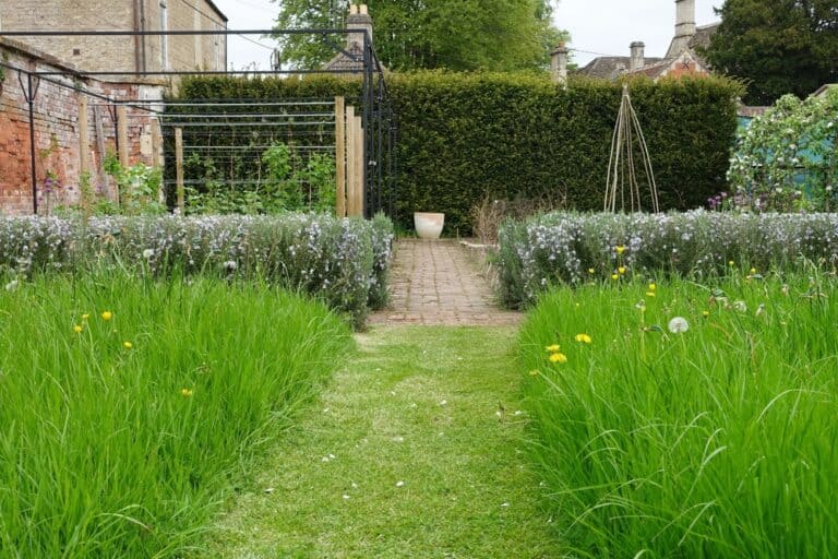 Gardening with Pete this month