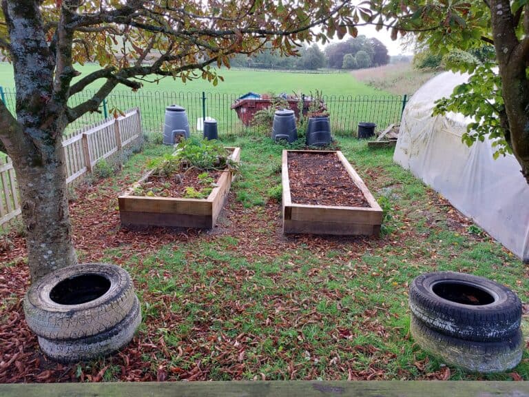 Raising the beds for gardening club