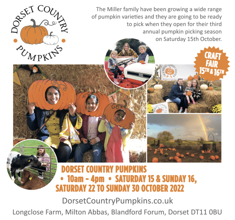 Dorset Country Pumpkins