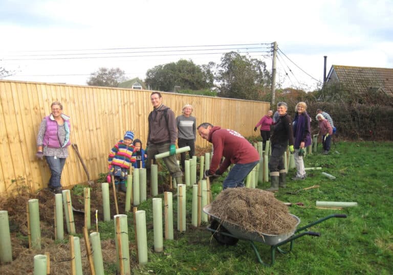 Hedgerows – are they our overlooked climate heroes?