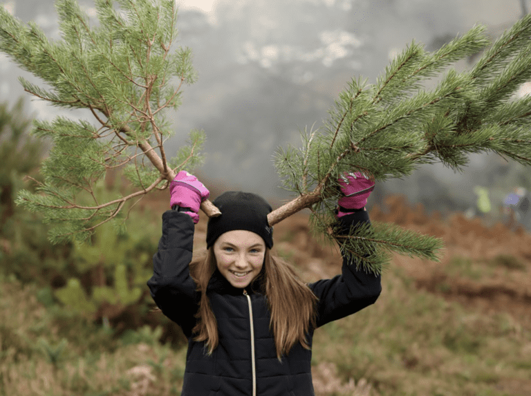 Celebrate Conservation and Christmas at RSPB Arne’s Pull a Pine Festive Weekend